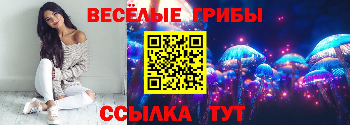 Псилоцибиновые грибы GOLDEN TEACHER  Вход с VPN  Хасавюрт 